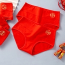 本命年红内裤 头女士 女纯棉抗菌裆中腰全棉红色结婚属虎年三角短裤