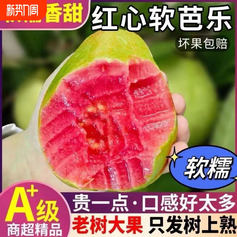 红心新鲜水果潘石榴软奶油糯芭乐应季新鲜水果石榴脆甜胭脂红