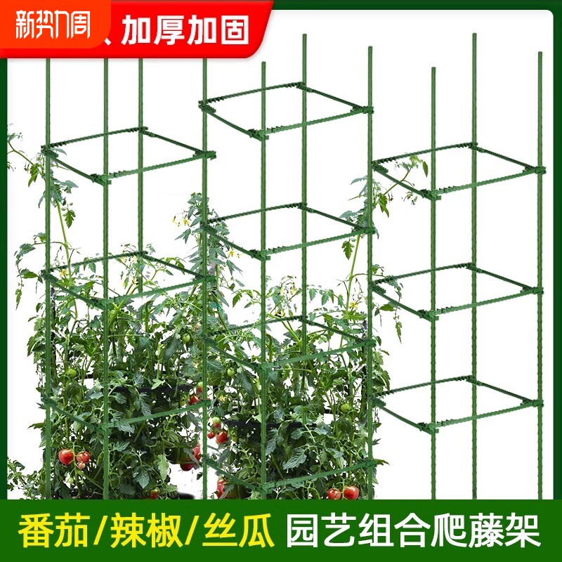 花架爬藤架庭院西红柿黄瓜植物番茄月季铁线莲种植菜攀爬架支撑架