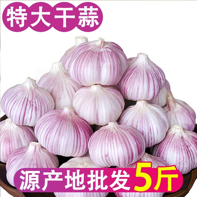 特级新鲜大蒜头干蒜批发红皮大蒜子特级大蒜便宜