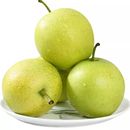 头茬新鲜发货皇冠梨当季 新鲜水果梨子砀山产地直发酥蜜梨