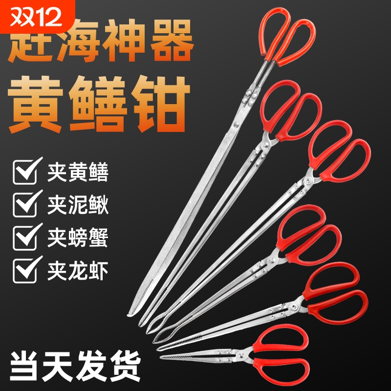 专业赶海夹子工具装备黄鳝夹子不锈钢防滑鳝鱼泥鳅抓螃蟹钳夹神器