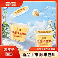 视界牧业自有牧场奶源奶皮子酸奶10杯