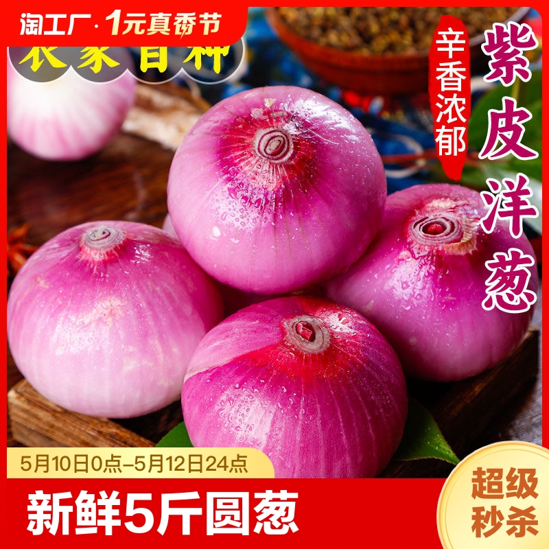 山东紫皮洋葱新鲜5斤蔬菜