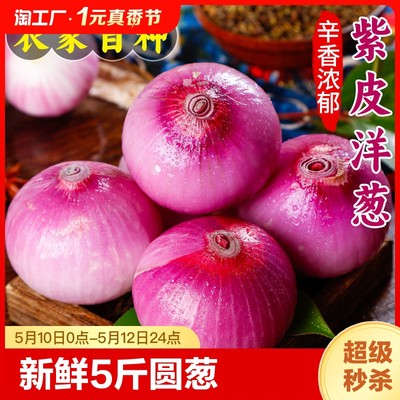 山东紫皮洋葱新鲜5斤蔬菜