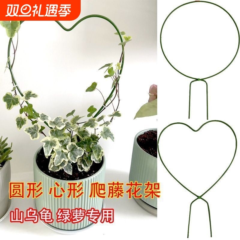 铁艺圆形造型爬藤攀爬架山乌龟雪莹花盆心形绿植盆景支架支撑杆