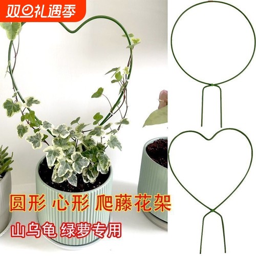 铁艺圆形造型爬藤攀爬架山乌龟雪莹花盆心形绿植盆景支架支撑杆
