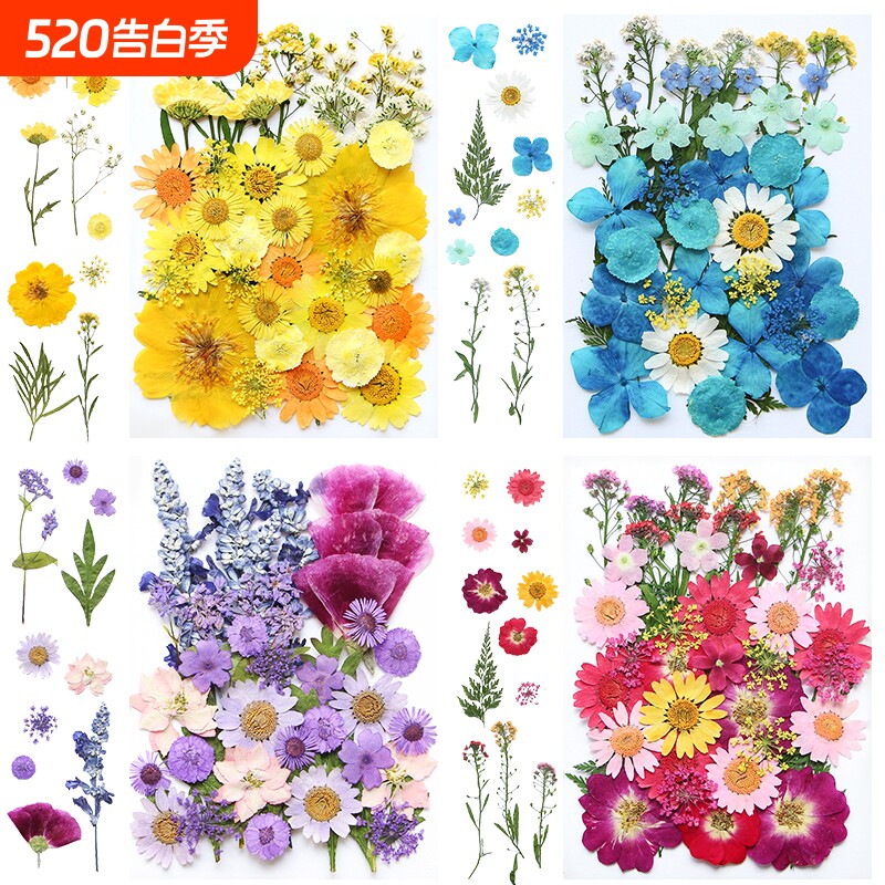 干花材料包diy永生花压花片草手工滴胶书签真花植物树叶标本樱花