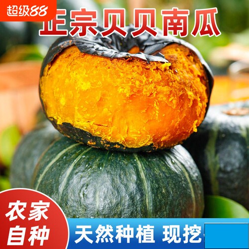 正宗贝贝南瓜板栗味老南瓜