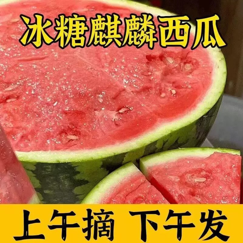 冰糖麒麟西瓜鲜甜多汁正宗美都麒麟瓜应季新鲜水果批发价无籽有籽