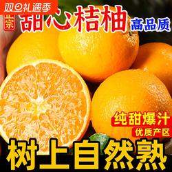 纯甜甜心柚 福建平和琯溪蜜柚子新鲜水果包邮整箱黄柚黄肉蜜柚