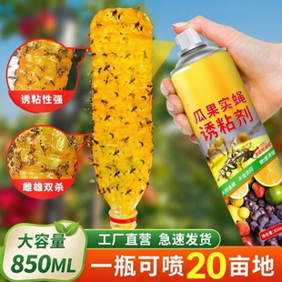 瓜果实蝇诱粘剂杀昆虫药果蝇诱捕剂灭针锋引诱剂果园诱捕神器果树
