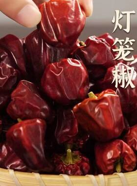 贵州特香灯笼椒2025新货