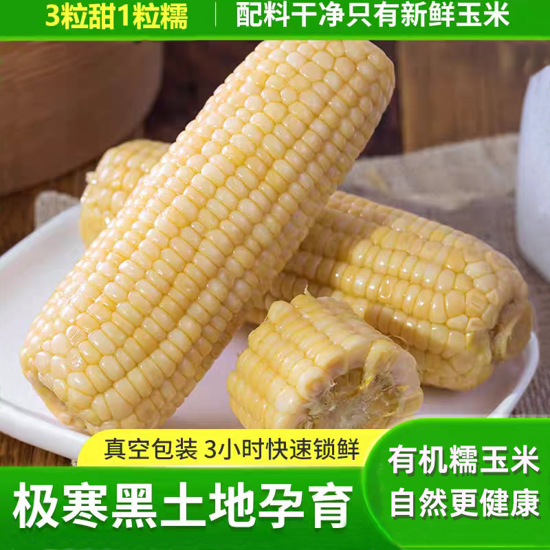 有机新鲜丑糯玉米2025东北极寒黑土地甜玉米棒黏真空包装低脂代餐