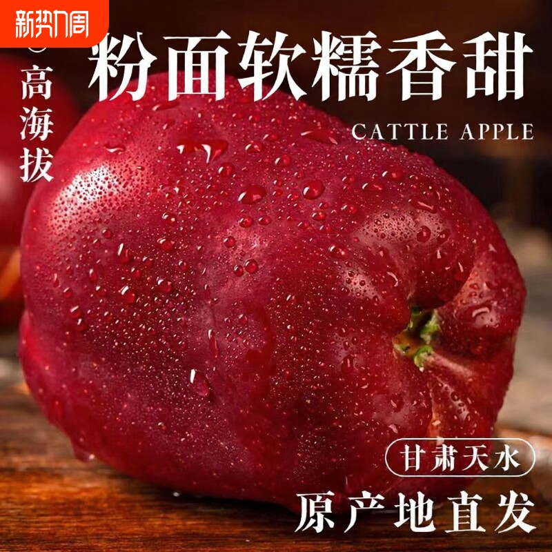 甘肃花牛苹果水果平果粉面丑果孕妇包邮应季新鲜水天水高原脆甜