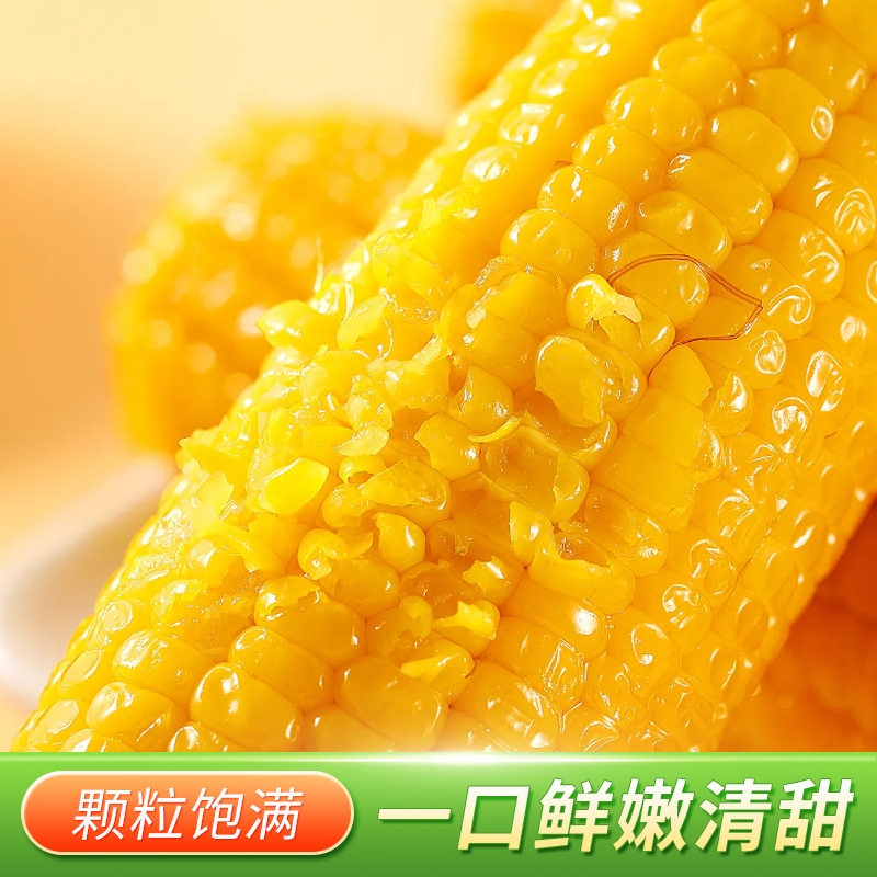 七稻町黄糯玉米东北甜糯玉米棒糯九玉米大棒真空包装代餐低脂10支