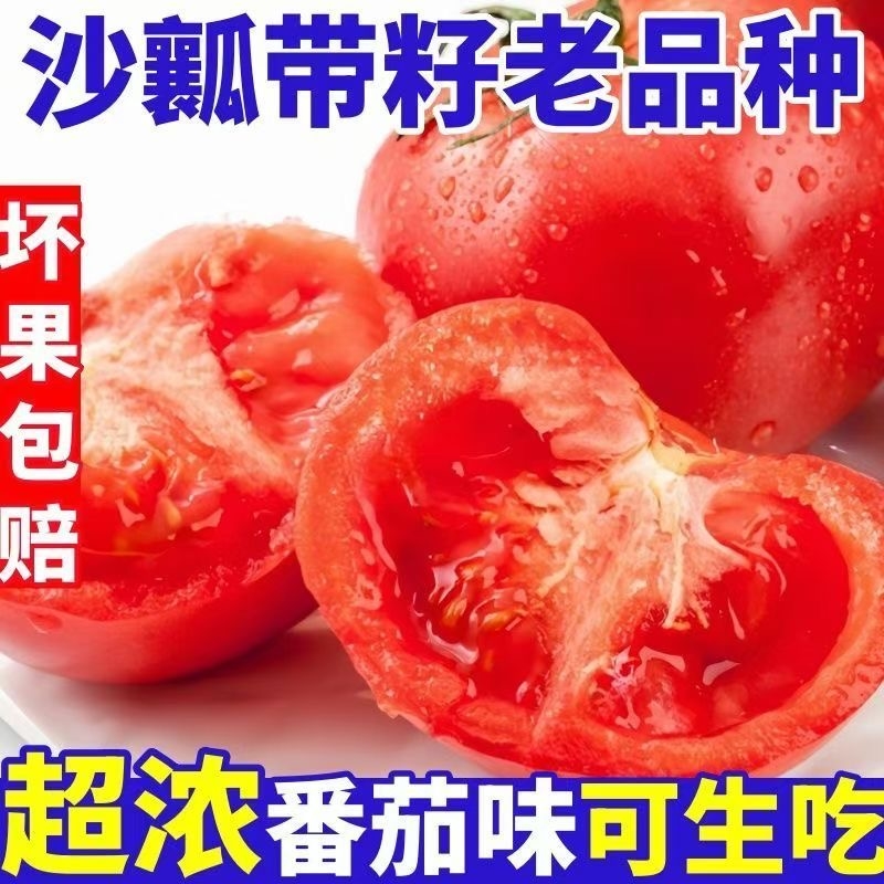 正宗自然熟沙西红柿5斤
