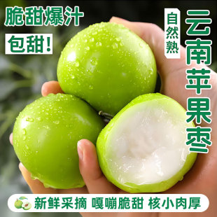 云南苹果枣新鲜现摘应当季 脆甜苹果枣大青枣蜜枣冬枣