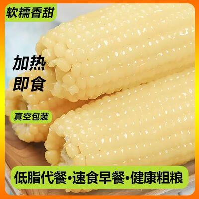 东北玉米白糯玉米真空包装非转基因香甜粘白玉米棒早餐速食粗粮