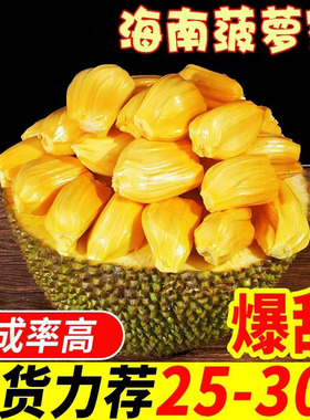海南黄肉菠萝蜜新鲜水果25-30斤一整个当季现摘爆甜干苞老树果