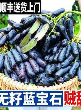 蓝宝石葡萄金手指鲜无籽黑提顺丰