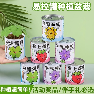 儿童种植罐头小盆栽桌面迷你绿植易养活摆摊送礼礼品学生创意礼物