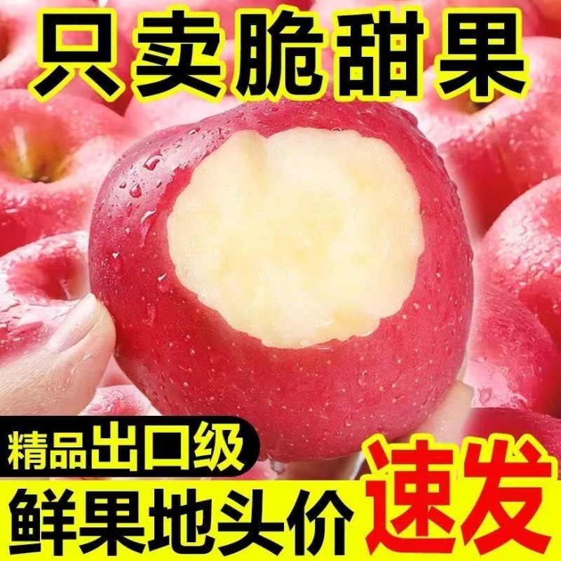 【只卖脆甜果】正宗红富士苹果脆甜多汁冰糖心新鲜孕妇水果批发,水产肉类/新鲜蔬果/熟食,苹果,淘宝优惠券,粉丝福利购,淘宝优惠卷