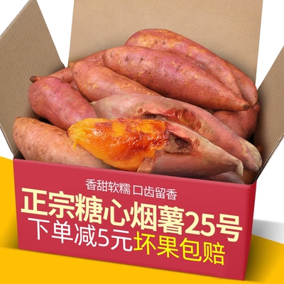 山东烟薯25号蜜薯糖心红薯新鲜番薯农家沙地山芋当季香甜软糯