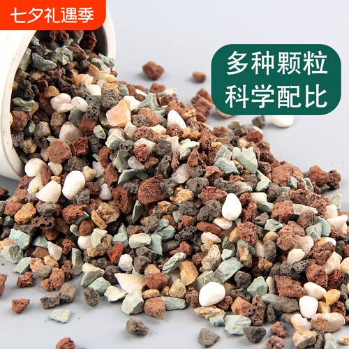 多肉全颗粒土专用营养土铺面石颗粒彩虹石火山石麦饭石多肉颗粒土