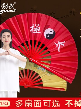 劲武功夫表演扇子太极扇开合响脆