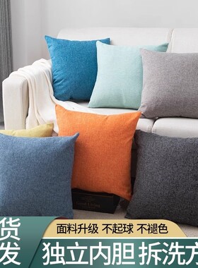 客厅抱枕沙发2026新款高级感风床头靠垫不含芯枕芯方形办公室内胆