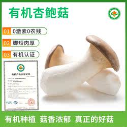 云南有机杏鲍菇新鲜菌菇蔬菜鸡腿菇蘑菇香菇美味优选原产地人工