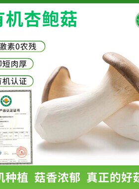 云南有机杏鲍菇新鲜菌菇蔬菜鸡腿菇蘑菇香菇美味优选原产地人工