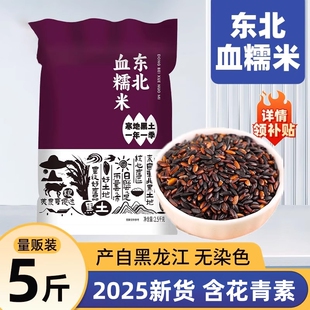 东北血糯米新米黑糯米紫糯米黑糙米包粽子杂粮糯米黑米长粒米饭