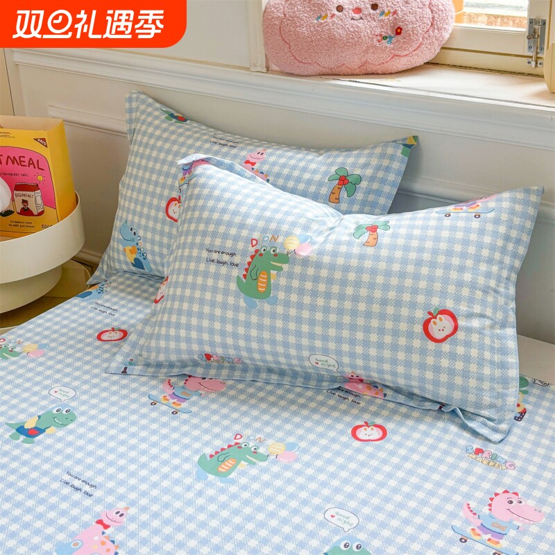 纯棉枕套100全棉一对装家用成人枕头套48x74cm单人枕芯内胆