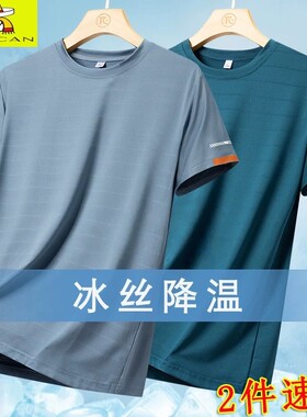 稻草人运动短袖T恤男夏季冰丝速干半袖休闲透气体恤薄款户外仓库