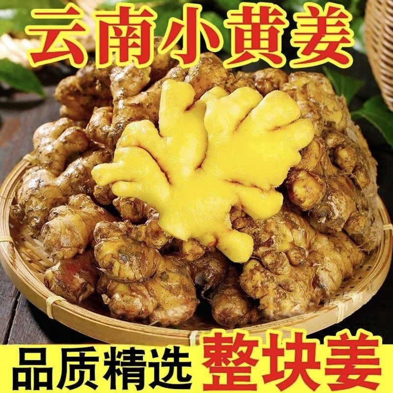 云南小黄姜正宗云南小黄姜鲜生姜老姜新沙姜蔬菜辛辣小黄姜