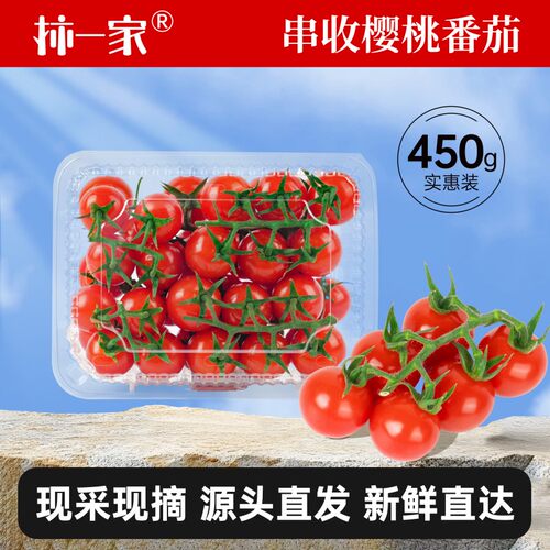 柿一家串收樱桃番茄无农药残留