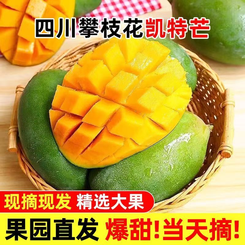 【攀枝花凯特芒】新鲜现摘青皮大脸芒果营养香甜孕妇水果产地直发