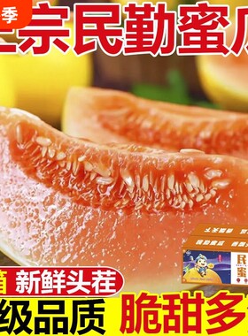 甘肃民勤蜜瓜沙漠甜瓜新鲜水果当季黄河香瓜金红宝整箱哈密瓜黄金