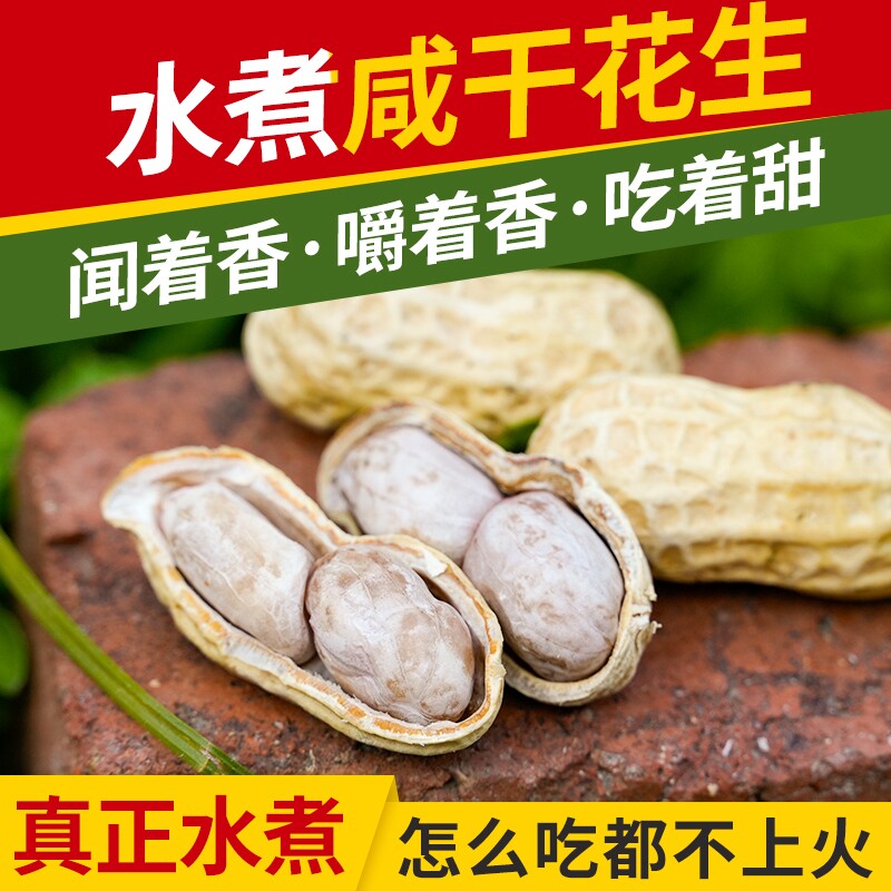 浠涵广东花生蒜香五香咸干多味盐水白晒水煮花生米带壳炒货熟零食
