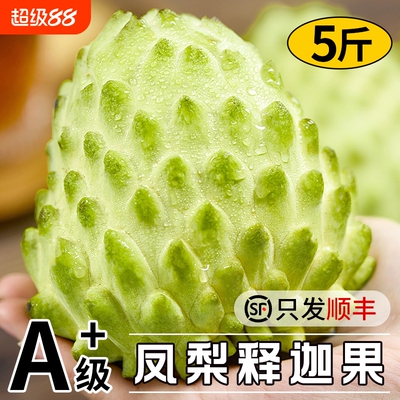 【冰淇淋口感】凤梨释迦果A+品质