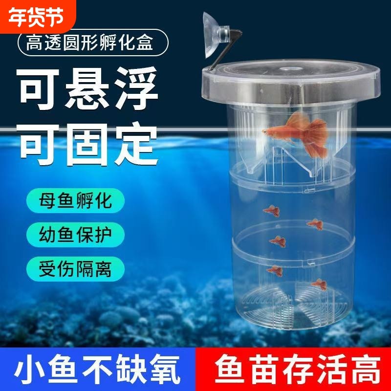 鱼缸隔离盒孔雀鱼繁殖盒凤尾斑马产房小鱼缸生鱼产卵孵化悬浮漂浮,宠物/宠物食品及用品,孵化器,淘宝优惠券,粉丝福利购,淘宝优惠卷