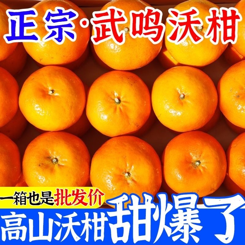 正宗广西沃柑10斤新鲜水果当季整箱柑橘砂糖橘子原产地年货节源头 - 天天特卖工厂出品