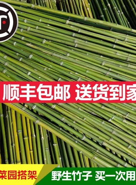 竹竿小竹杆菜园搭架子篱笆栅栏菜阳台植物豆角黄瓜爬藤花架西红柿