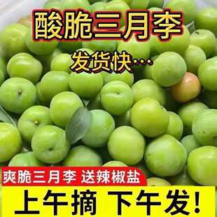 【正宗三月李】青脆酸李子现摘现货孕妇当季水果新鲜批发大果酸李