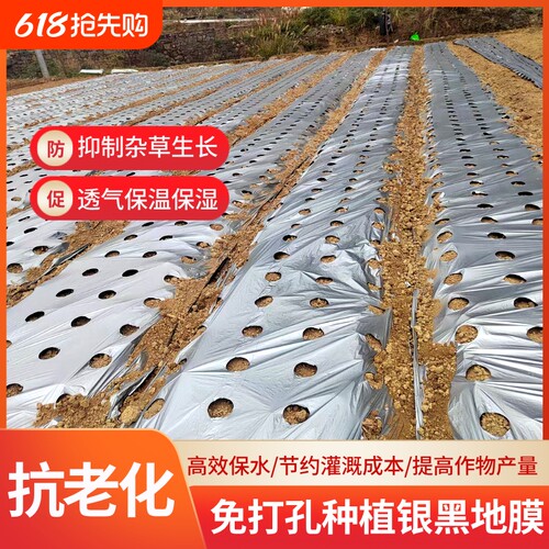 巴慕欧打孔地膜反光驱虫抑草透水