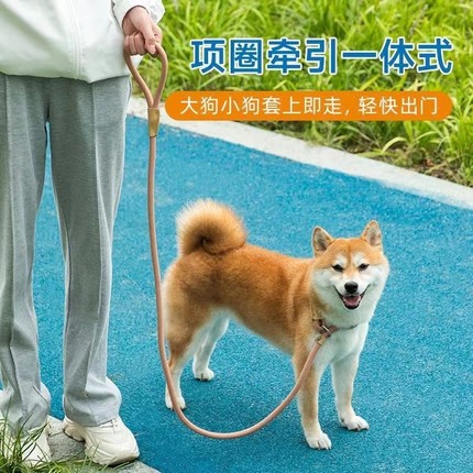 狗狗牵引绳防爆冲p绳遛狗绳子小中型大型犬柯基金毛可调节自动