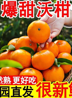 云南沃柑无渣纯甜大果产地直发