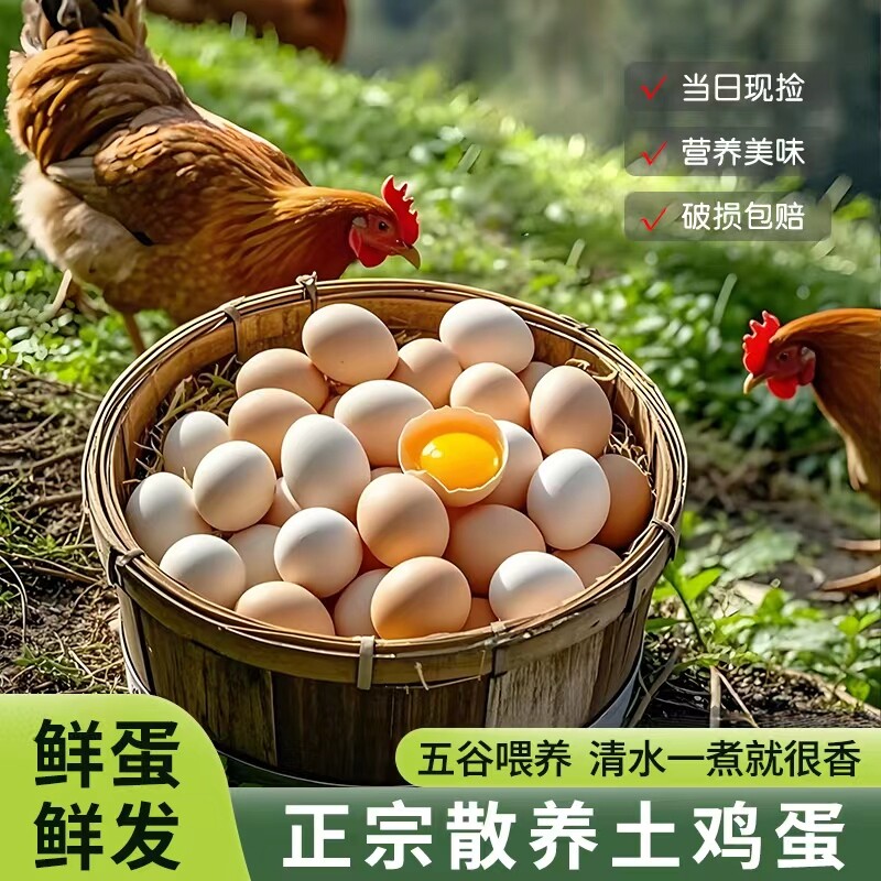 农家散养鲜鸡蛋土鸡蛋谷物鸡蛋营养早餐蛋草鸡蛋月子蛋五谷精选